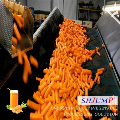 Linea Lavorazione Carote