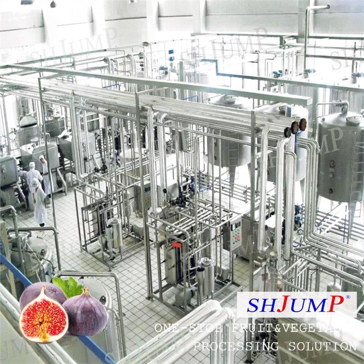 Fig Puree Processing Line