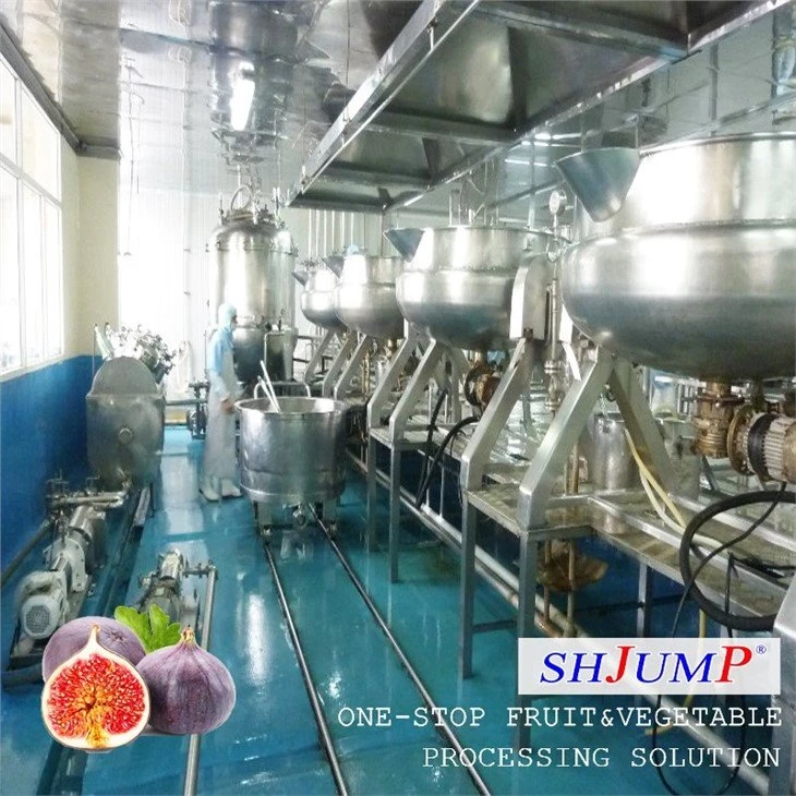 Fig Puree Processing Line