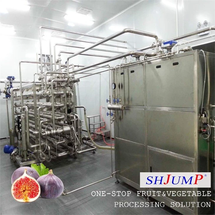 Fig Puree Processing Line