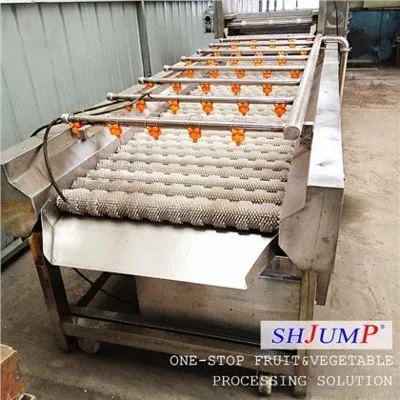 Lavatrice a spazzole con spruzzatore