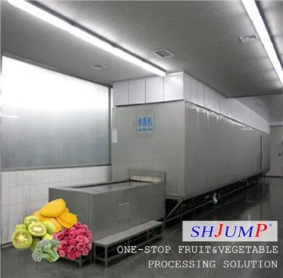 Linea di lavorazione rapida della frutta congelata