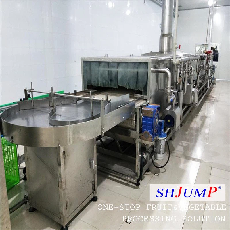 Macchina per la pastorizzazione a tunnel