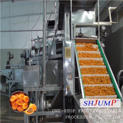 Linea Lavorazione Albicocche Secche